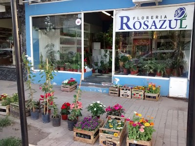 Florería Rosazul