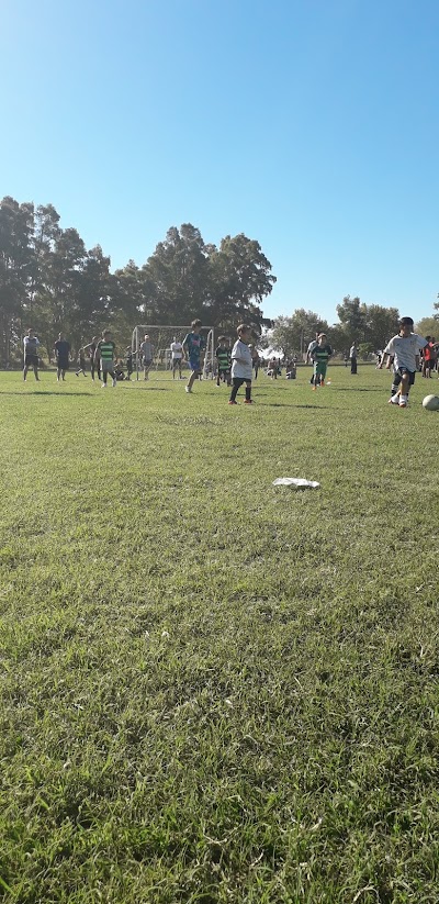 Cancha Atlético Casares