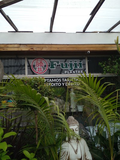 Vivero Fujii Plantas