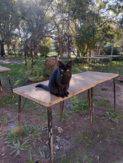 Tu Lugar Carmen De Areco