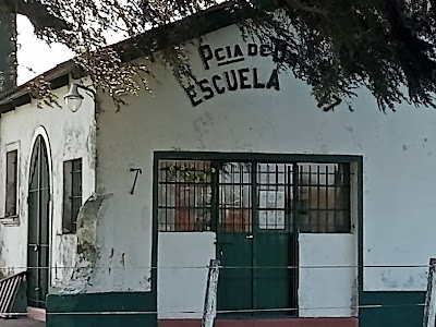 escuela numero 17