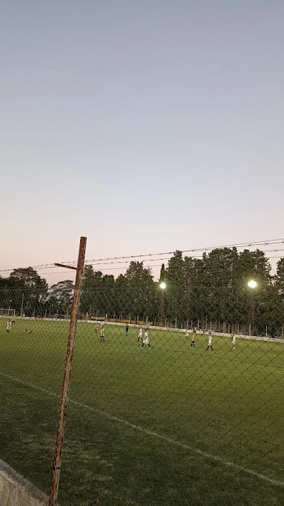 Estadio el bosque