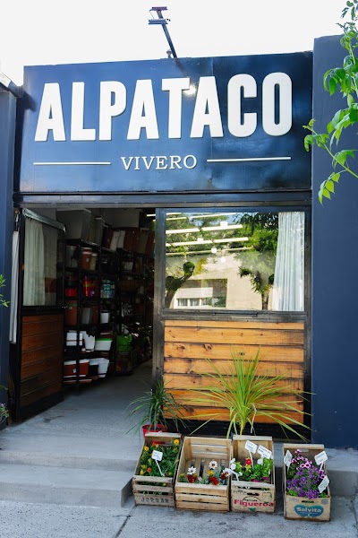 Alpataco vivero