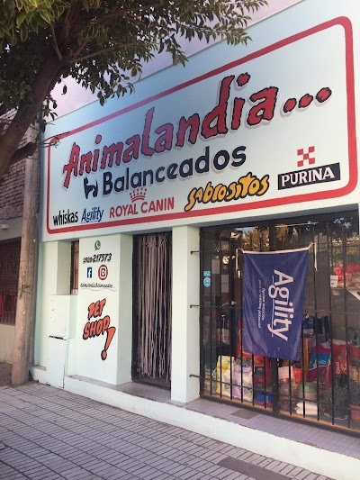 Animalandia balanceados