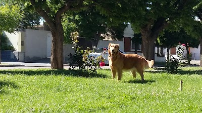 Plaza Chacabuco