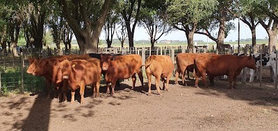 Salón Sociedad Rural de Castelli