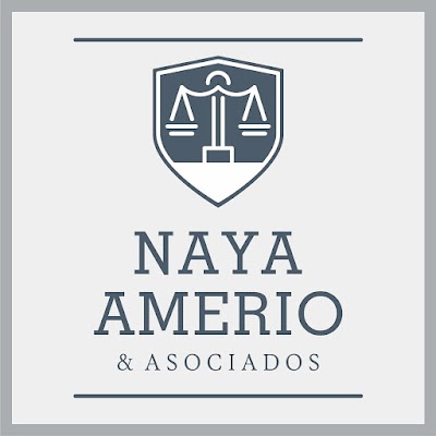 Estudio Jurídico Naya Amerio & Asoc.