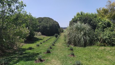 Finca El Secreto