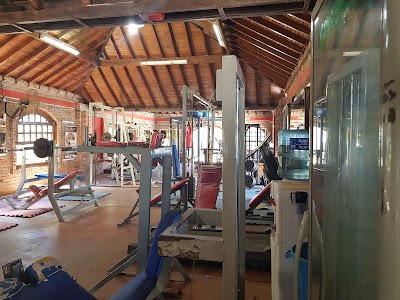 Evolution Gym