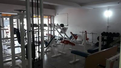 Active Gym