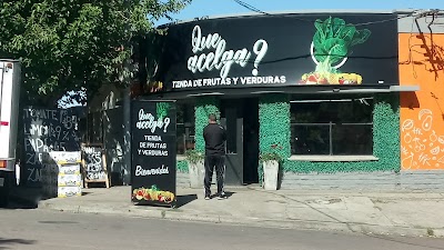 Que acelga?