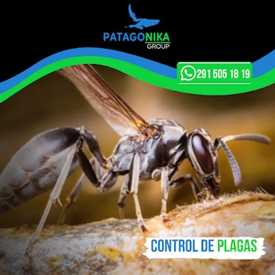 Patagonika Group - Servicio de Fumigaciones en Punta Alta. Control de Plagas. Limpieza Industrial. Mantenimiento de Piscinas