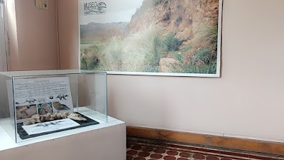 Coronel Suarez, Museo Histórico Municipal