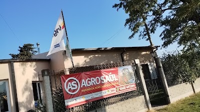 Agro Saúl