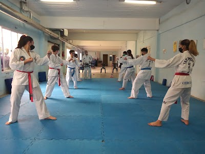 Escuela In Nae Taekwon-Do ITF