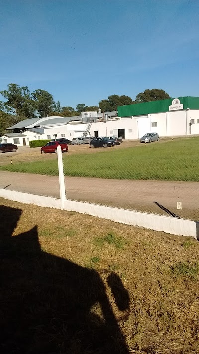 Frigorífico de Cerdos Agroporc de Supermercados Toledo S.A.