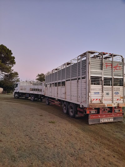 TRANSPORTE PINTO