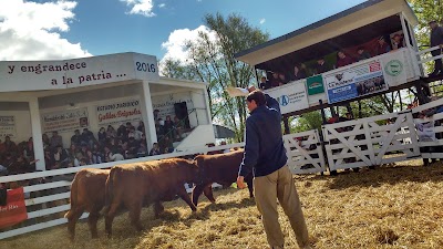 Predio Sociedad Rural de Dolores