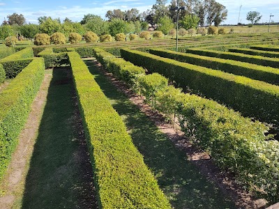 Laberinto de Dolores