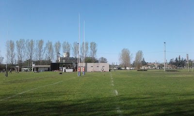 Marabuntas Rugby Club