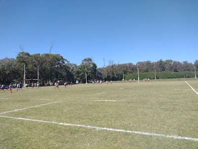 Pueyrredón Rugby Club