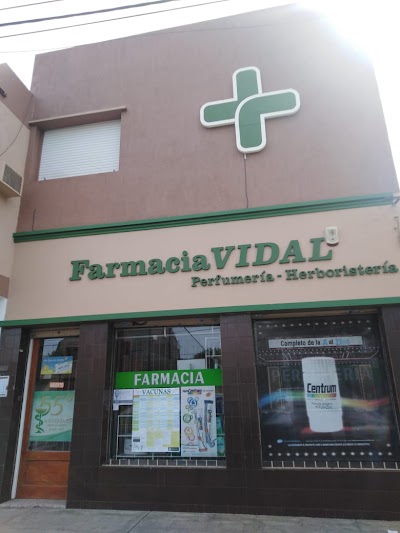 Farmacia Vidal S.C.S