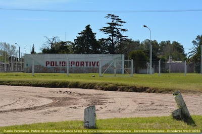 Polideportivo