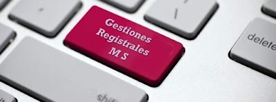 Gestiones Registrales MS