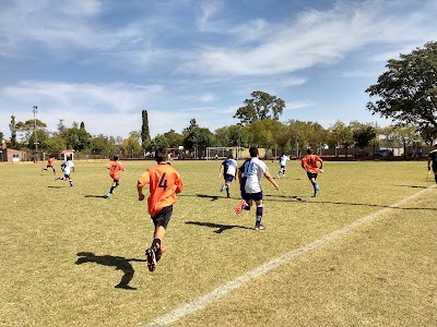 Cancha Club Atlético Ameghino