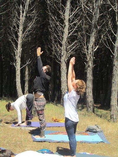 Sea school Yoga