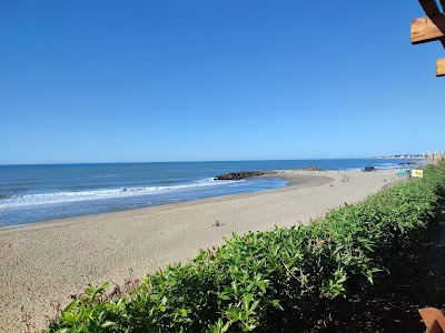 La Surfería Náutica - Escuela de Surf