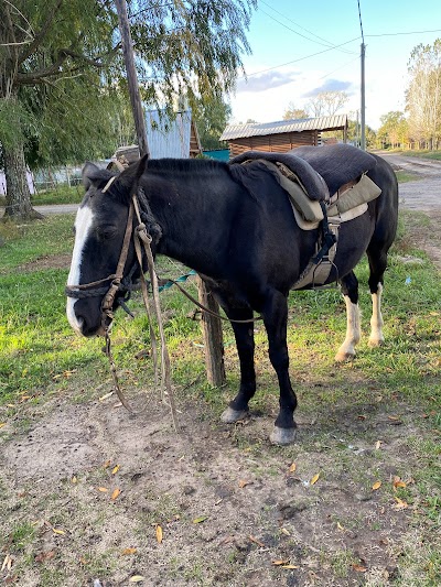 Alquiler de caballos Miguel