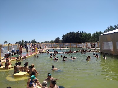 Termas del Salado