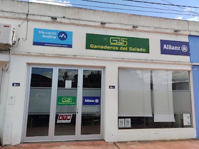 VG Productores asesores de Seguros