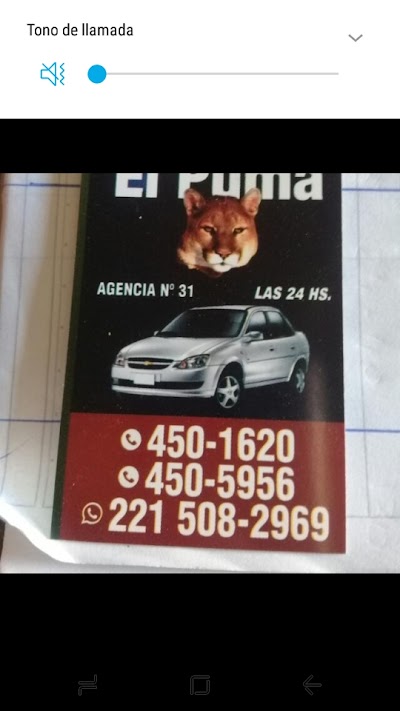 Remiseria el Puma Atendido Por Sus Dueños