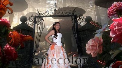 Artecolor-foto-video-diseño Grafico