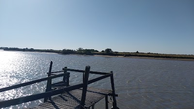 Pesca de la corvina negra tomas zulpo