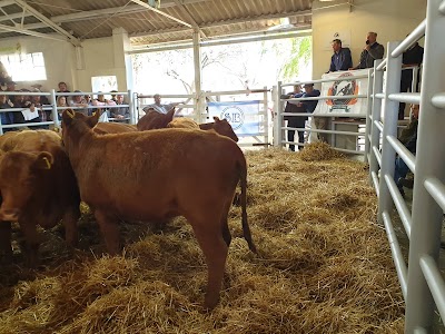 Asociación Rural de General Madariaga