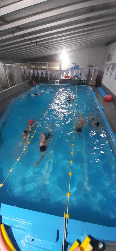 Escuela de Natacion Solarium