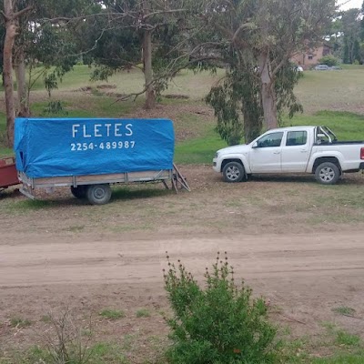 FLETES MUDANZAS AÑON