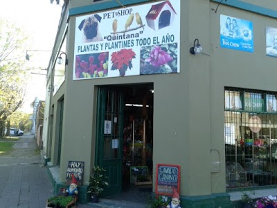 Pet Shop Quintana