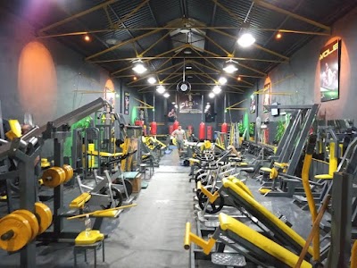 Wolf Gym