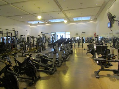 GIMNASIO ARENA Centro de entrenamiento