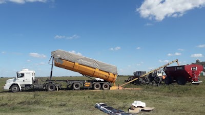 SIMÓN TOMASELLI: Transporte, logistica y venta de insumos