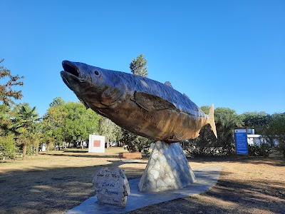 Monumento al Pejerrey