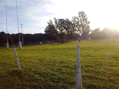 Pingüinos Rugby Club