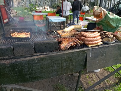 Parrilla colectora