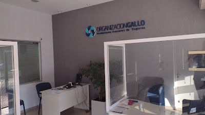 ORGANIZACION GALLO