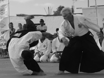 Asociación Regional de Aikido