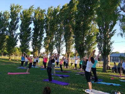 Yoga sin Fronteras